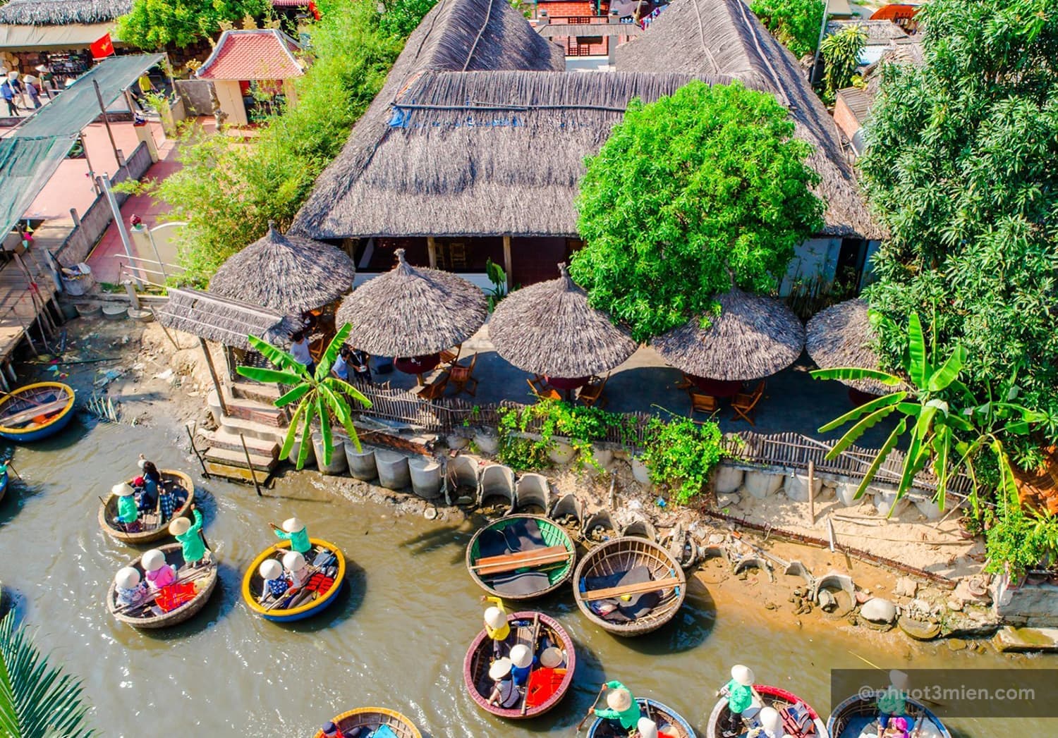 Rung Dua Bay Mau 3 (1)